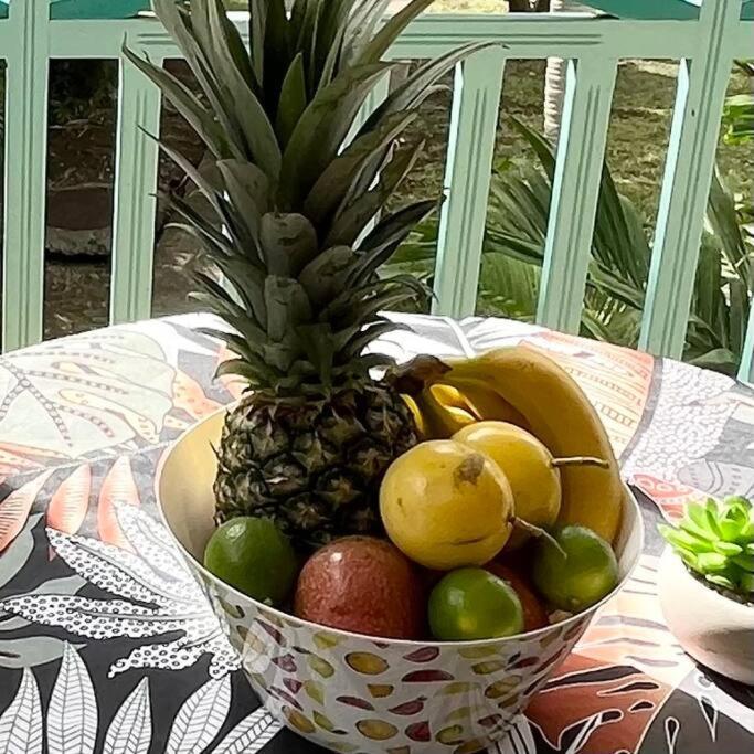 Studio La «Kaz' A Coco» Anse Caritan Sainte-Anne Kültér fotó